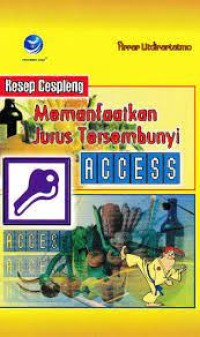 Image of Resep cespleng memanfaatkan jurus tersembunyi access